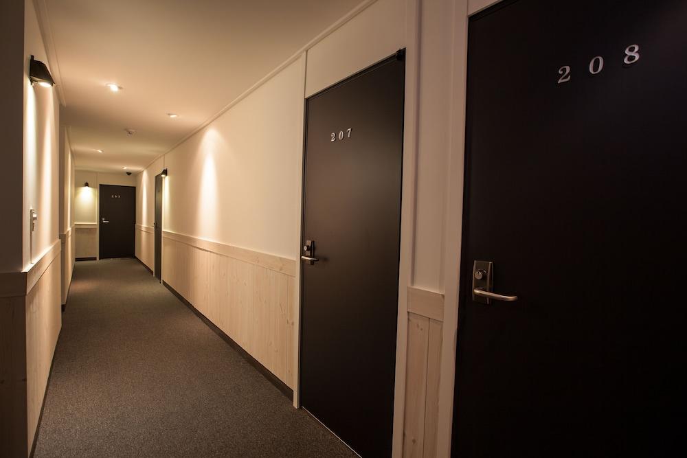 Hotel Petercat Shinchon 3*